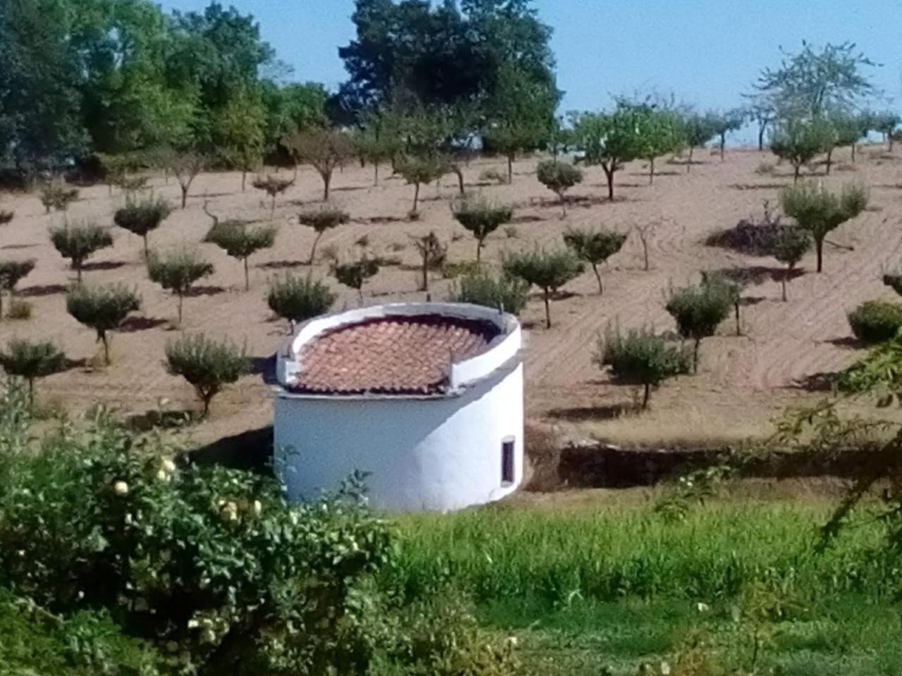 Villa Casa Dos Pombais De Cacarelhos Rural Exterior foto
